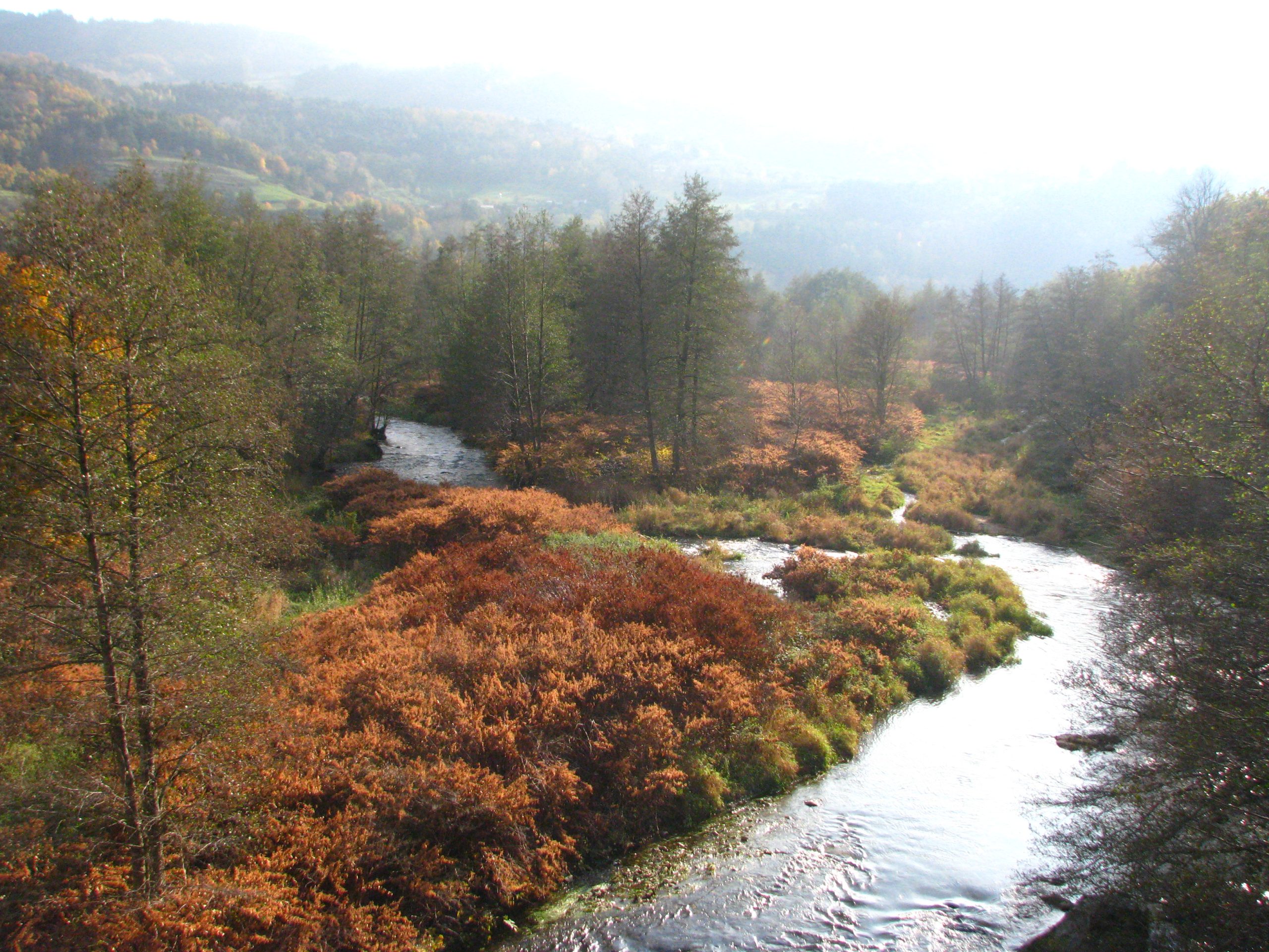 Doux Pont du plat